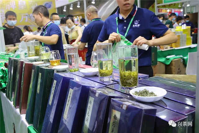 兴茶网