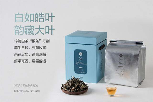 津乔普洱品牌白茶
