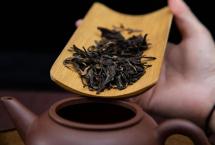 双陈茶学堂：好的普洱生茶有哪些特点？
