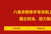 以茶为媒，云南农垦八角亭携「牵手号」亮相上海茶博会