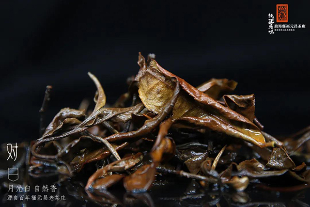 福元昌古树白茶对白