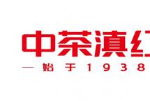 携手中国茶叶，品味中茶滇红：中茶滇红招商全面启动