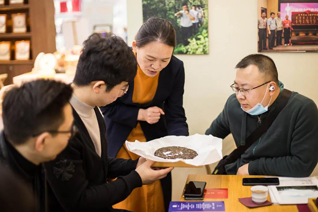 双陈普洱茶西安茶博会