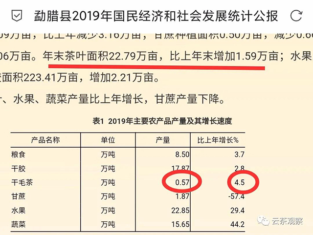 易武普洱茶