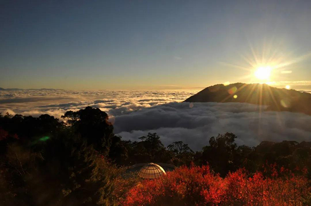 龙润茶第四代大师茶云玺号普洱茶