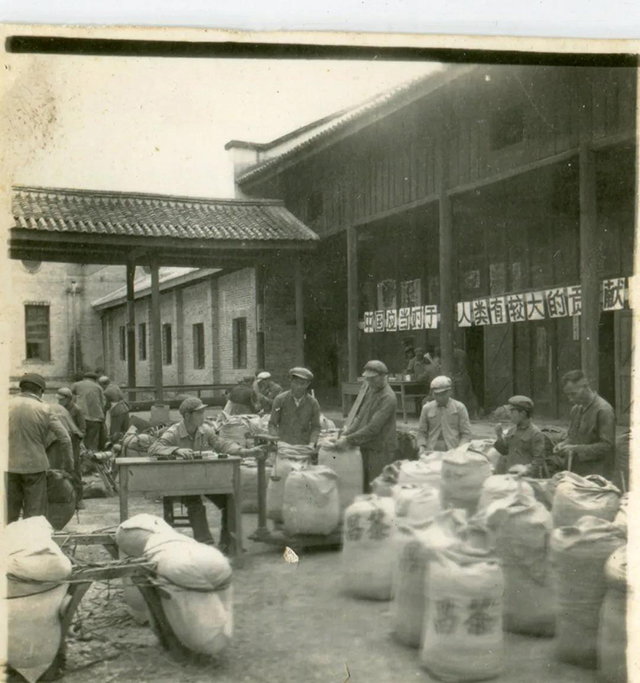 龙润茶蓝印红印普洱茶印级茶