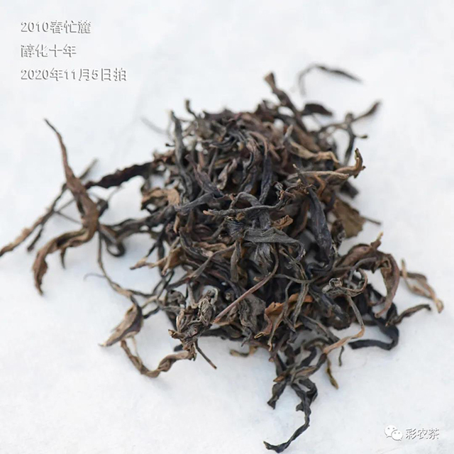 彩农茶十年醇忙麓正山昔归茶