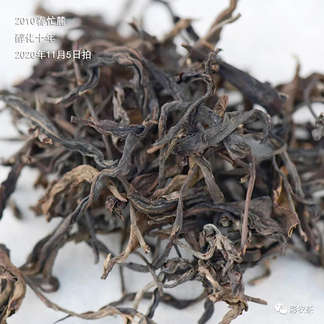 彩农茶十年醇忙麓正山昔归茶