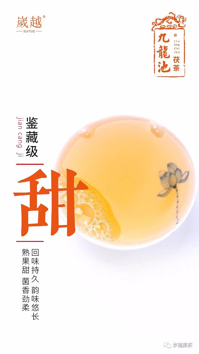 岁越黑茶2020九龙池茯茶