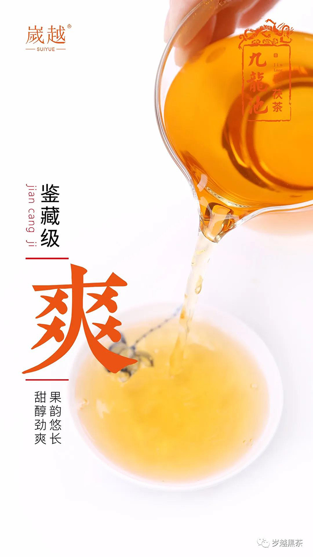 岁越黑茶2020九龙池茯茶