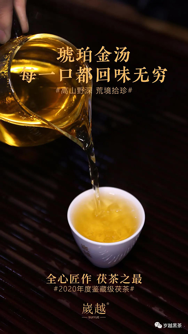 2020九龙池茯茶