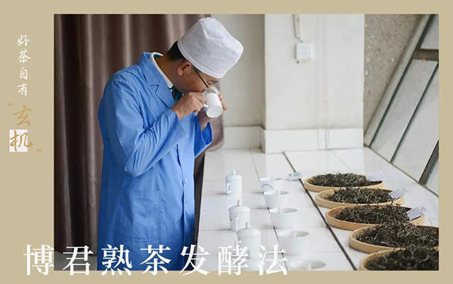 勐库戎氏茶业博君熟茶