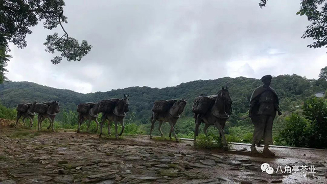 八角亭易武熟茶