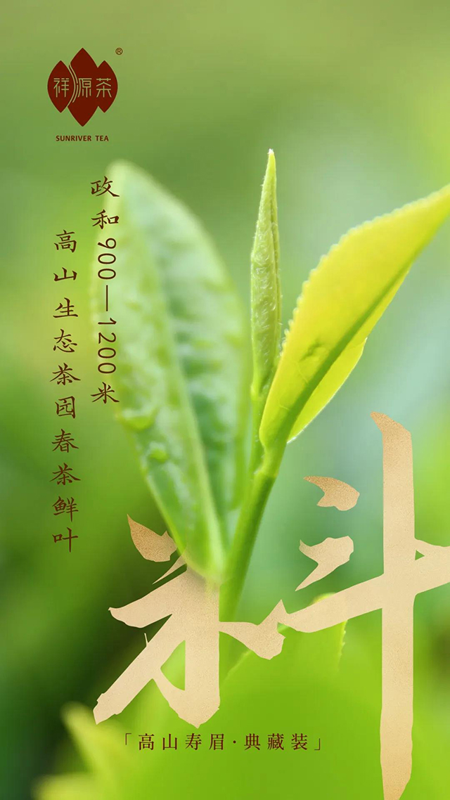 祥源茶高山寿眉政和白茶