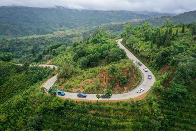 六大茶山贺开庄园