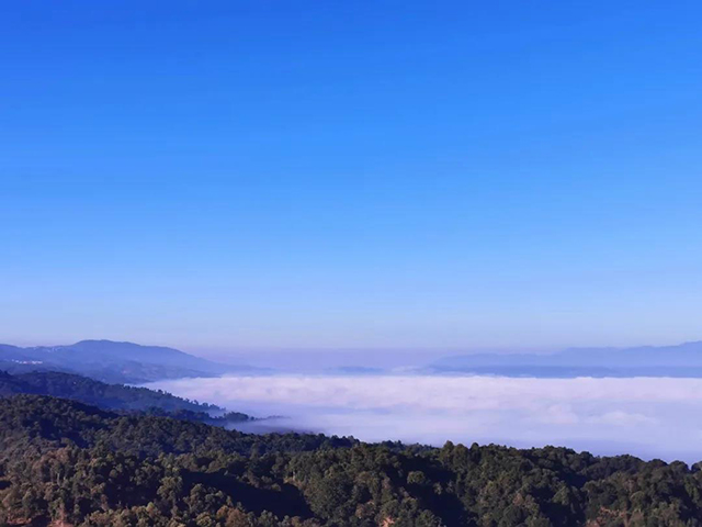 六大茶山贺开庄园