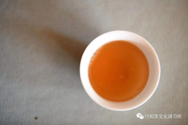 勐宋山茶树王寻访记