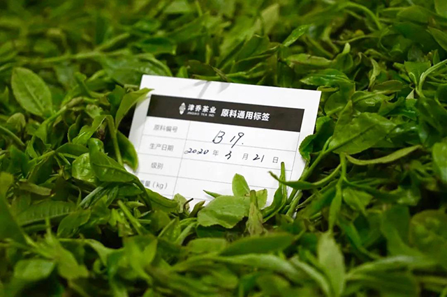津乔普洱