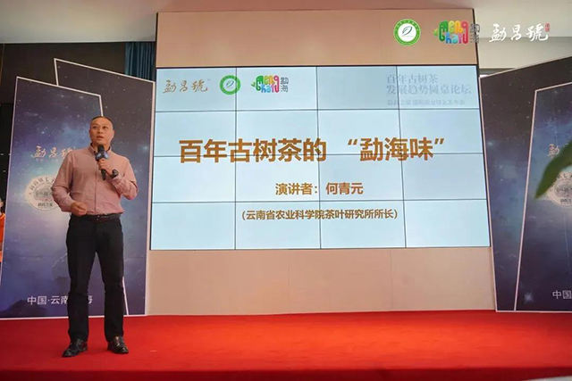 云南省农业科学院茶叶研究所所长何青元作百年古树茶的勐海味演讲