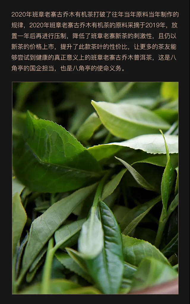 八角亭丛林之王班章有机茶