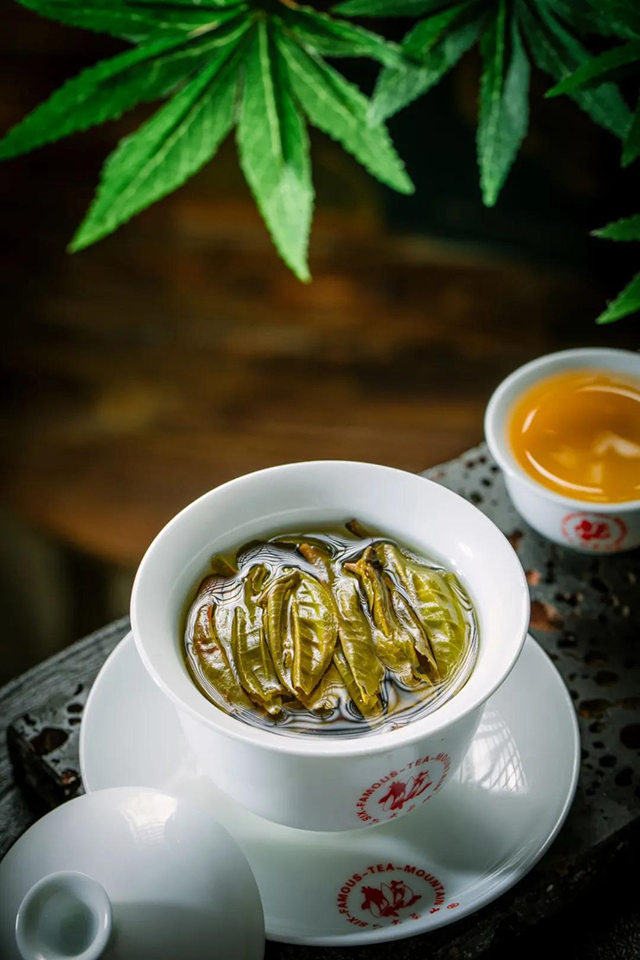 六大茶山普洱茶百岁圆茶