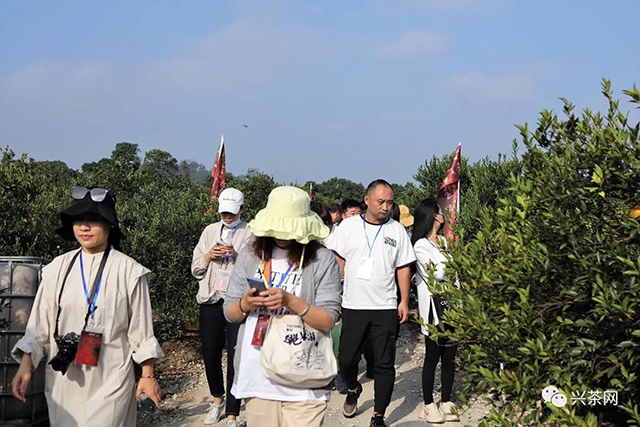 第四届新会陈皮收藏文化节