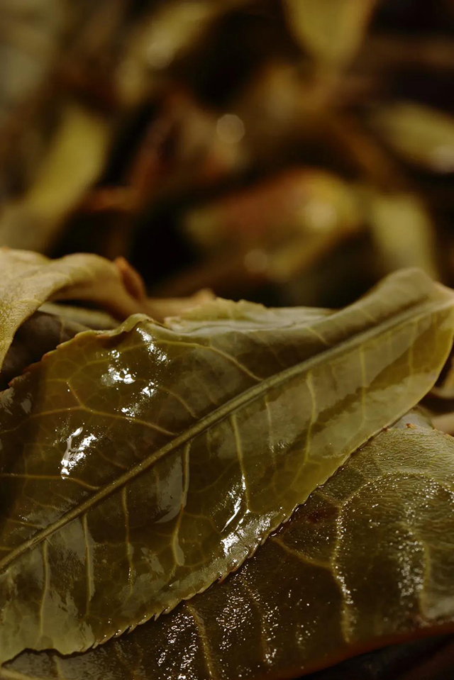 龙润茶古树皇帝饼雍正王朝困鹿山