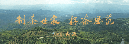 藏茶之都，遇见戎茶：2020中国（东莞）国际茶产业博览会即将盛大启幕！