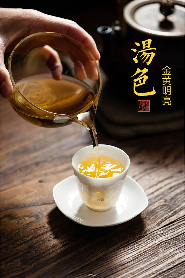 龙润茶第四代大师茶云玺号