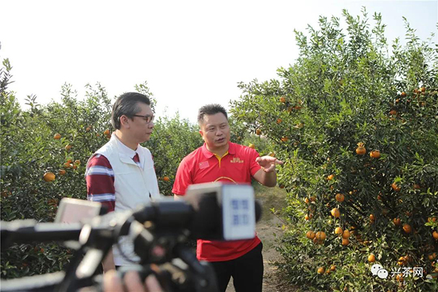 泓达堂陈皮文化节