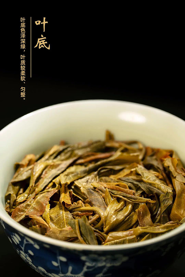 云南龙润茶业大吉大利