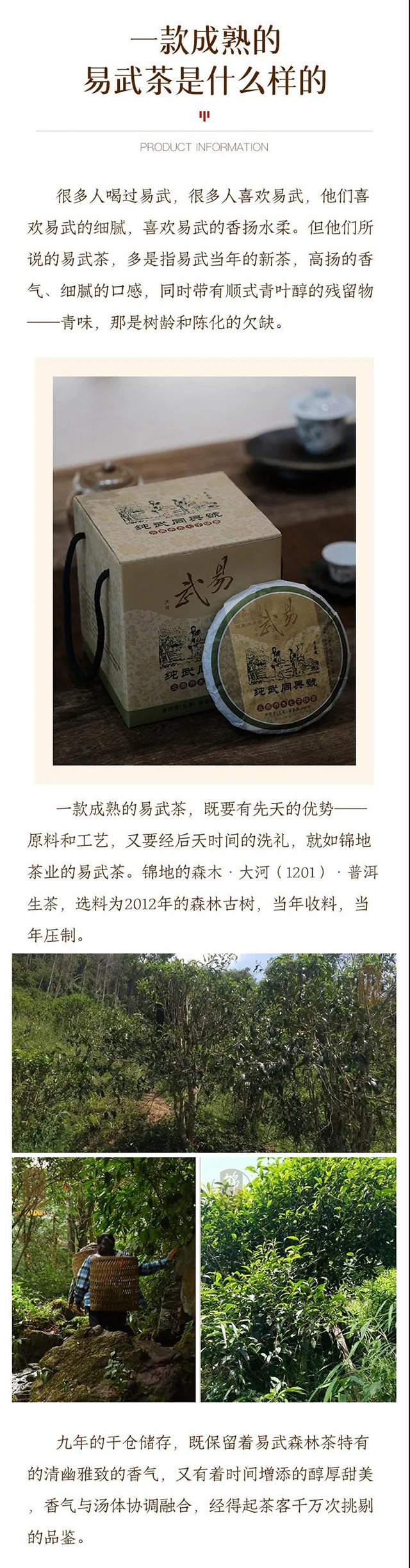 锦地茶业森木大河易武茶