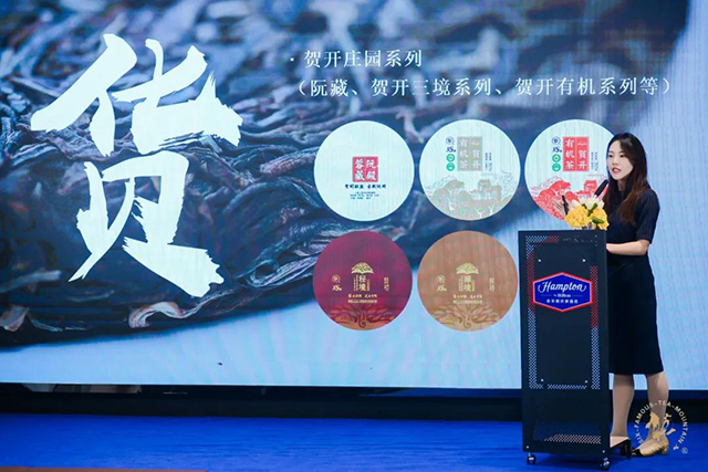 六大茶山董事长助理张依梦女士讲解六山古茶庄园项目