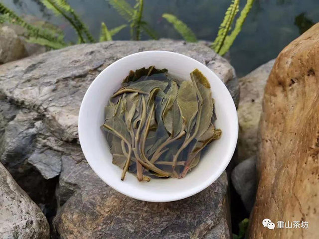 重山茶坊制茶日记