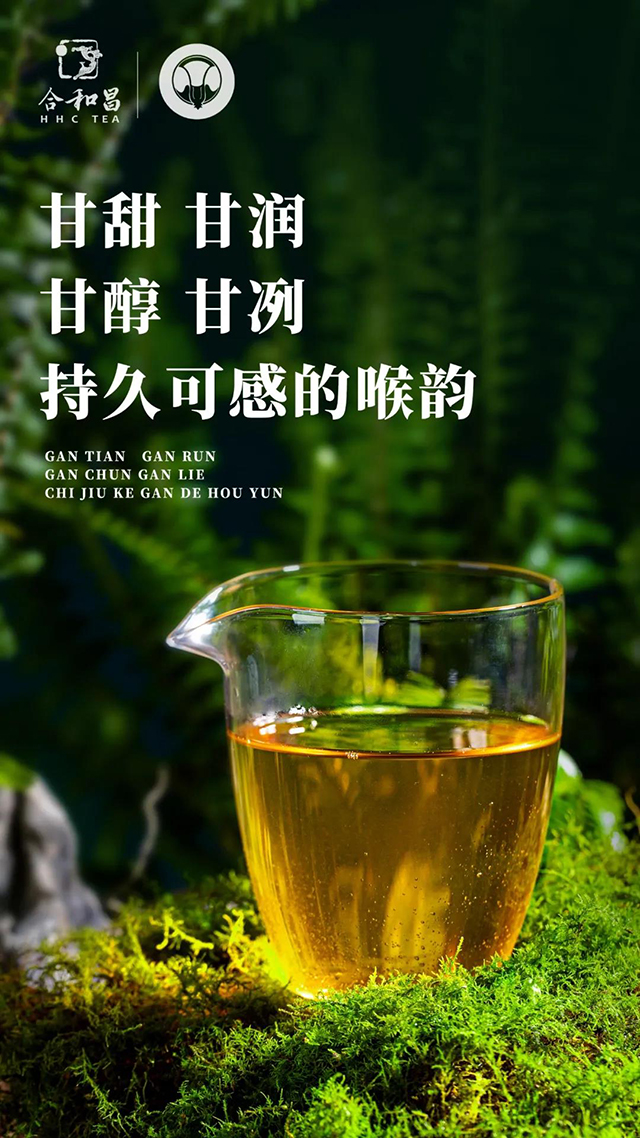 勐海合和昌有机饼茶