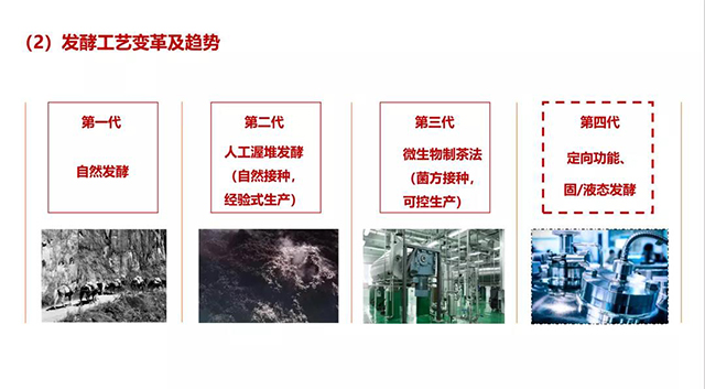 云南大益微生物技术公司总经理高林瑞