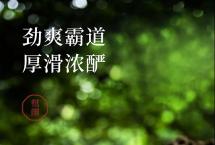 12月31日，东莞茶博会，双陈与你有约