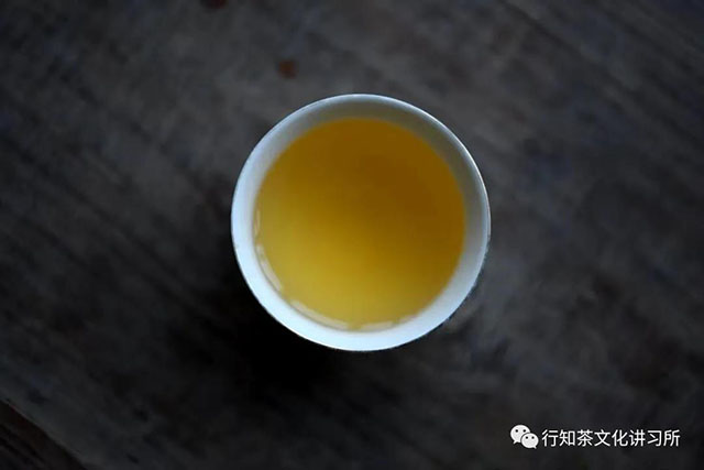 易武正山茶树王寻访记