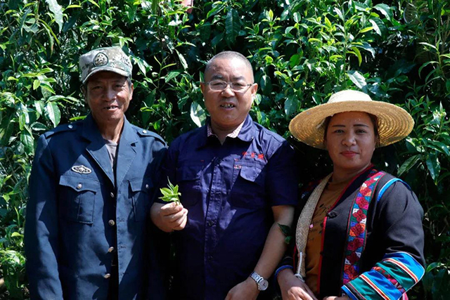 中吉号普洱茶