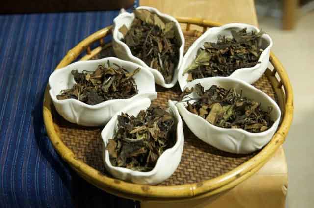 泡茶