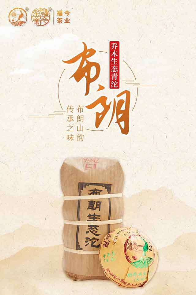 福今茶业2021年布朗乔木生态青沱