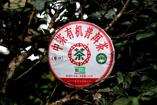 中茶普洱茶