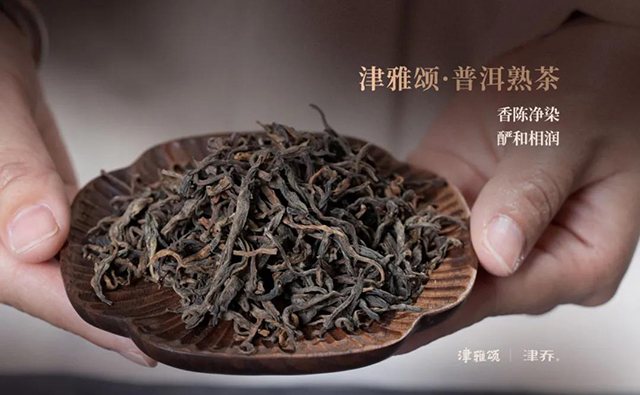 津乔普洱茶