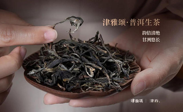 津乔普洱茶