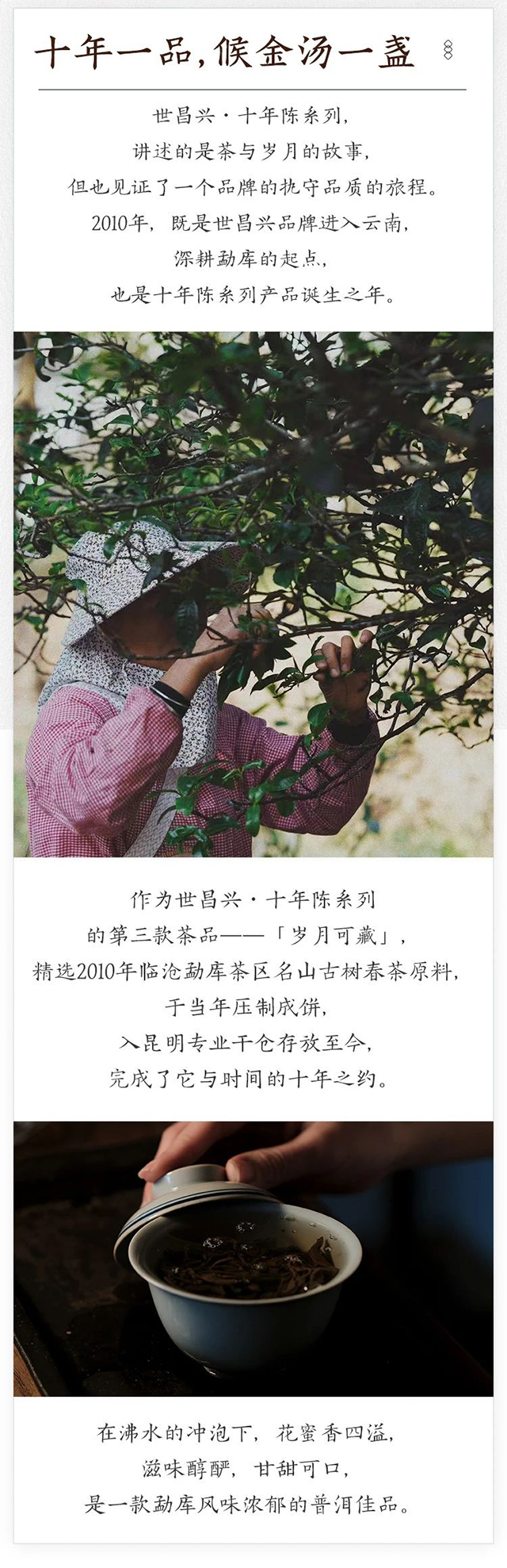 世昌兴岁月可藏普洱茶