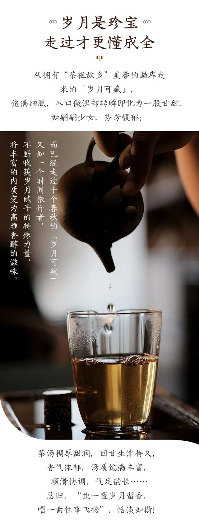 世昌兴岁月可藏普洱茶