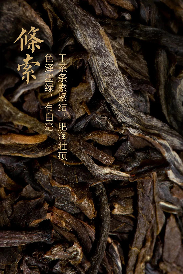 龙润茶楚兰