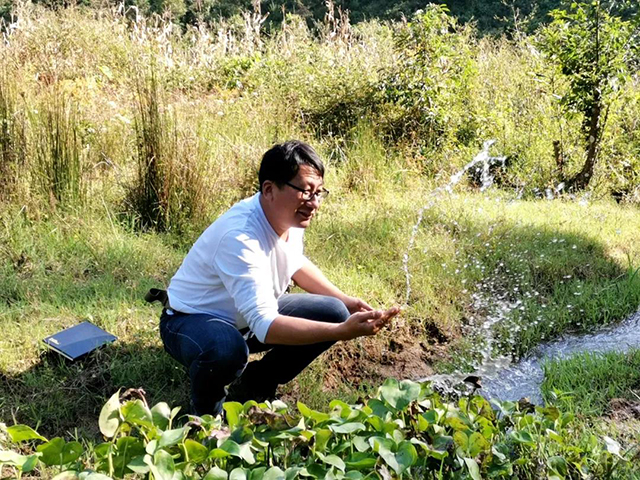 南糯山拔玛茶普洱茶