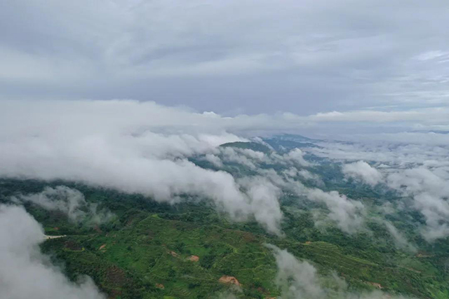 六大茶山春节茶礼