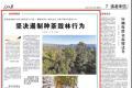 云南整治种茶毁林上了《人民日报》，警钟为谁而鸣？
